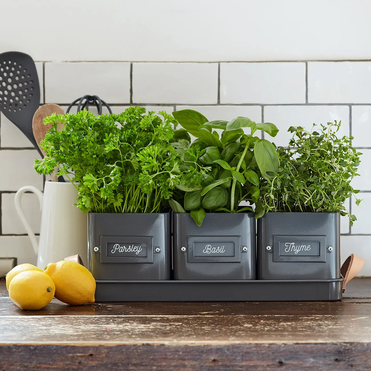 3 Herb Pots in a Leather Handled Tray - Charcoal