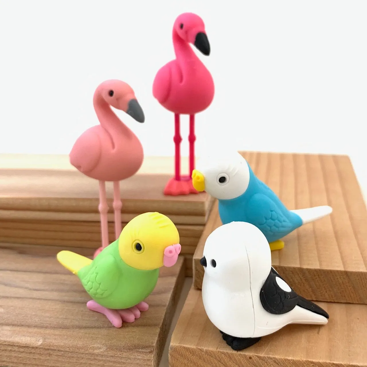 380051 BIRDS ERASERS-30