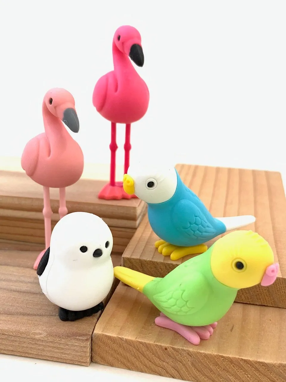 380051 BIRDS ERASERS-30