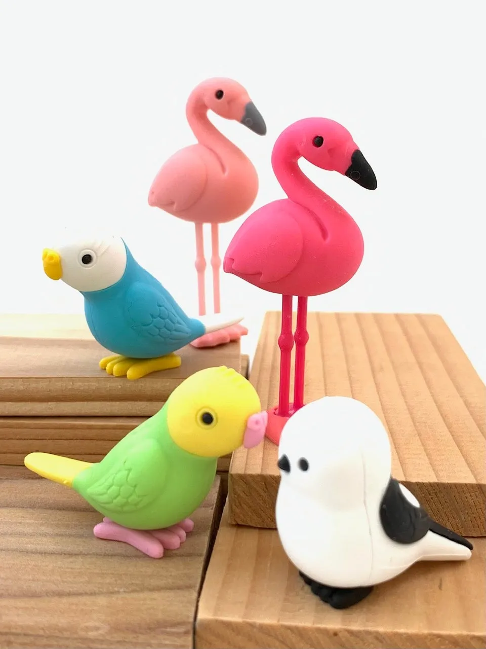 380051 BIRDS ERASERS-30