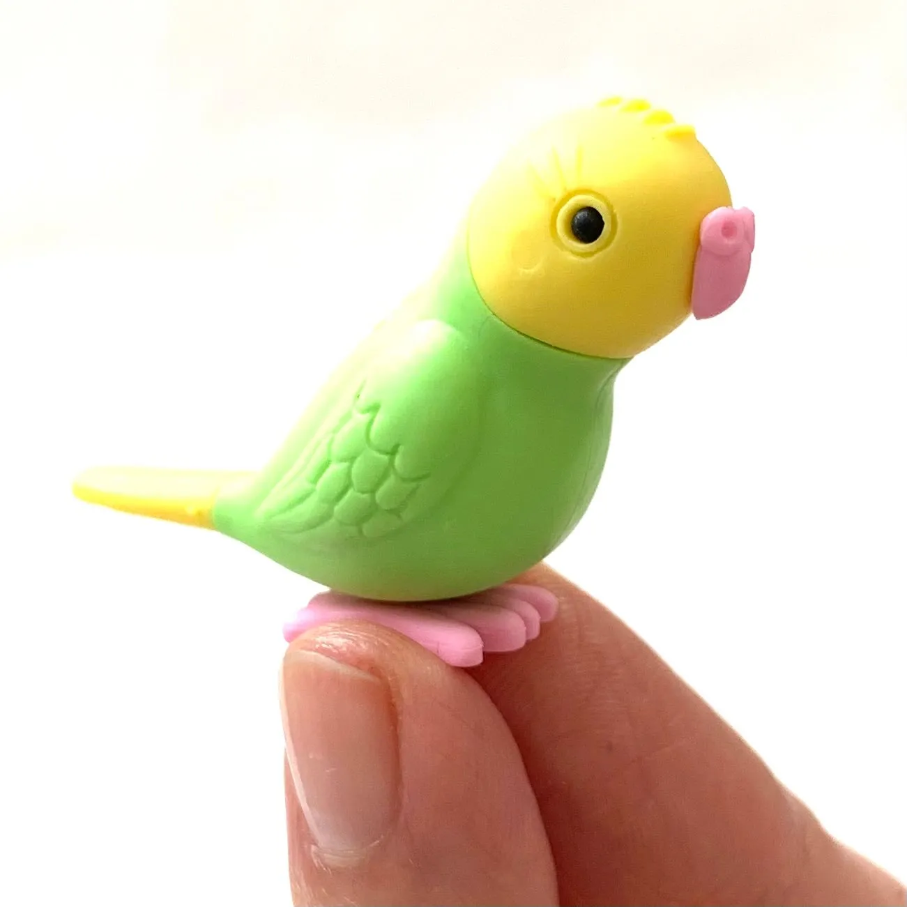 380051 BIRDS ERASERS-30