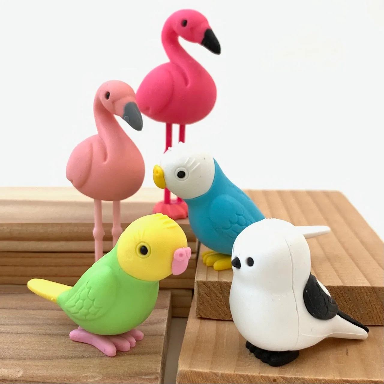 380051 BIRDS ERASERS-30