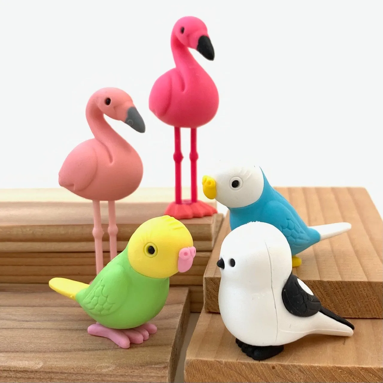 380051 BIRDS ERASERS-30