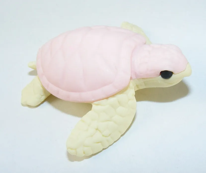 382511 IWAKO TURTLE ERASERS-3 COLORS-30